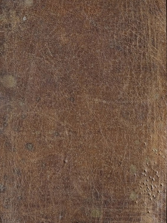 BEAUTIFUL DISTRESSED LEATHER PATINA FOR WALL LIGHTS BY HANNAH WOODHOUSE